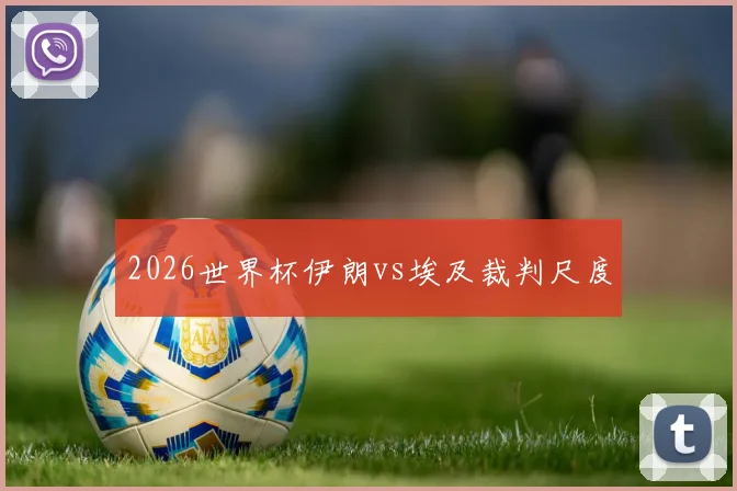 2026世界杯伊朗vs埃及裁判尺度