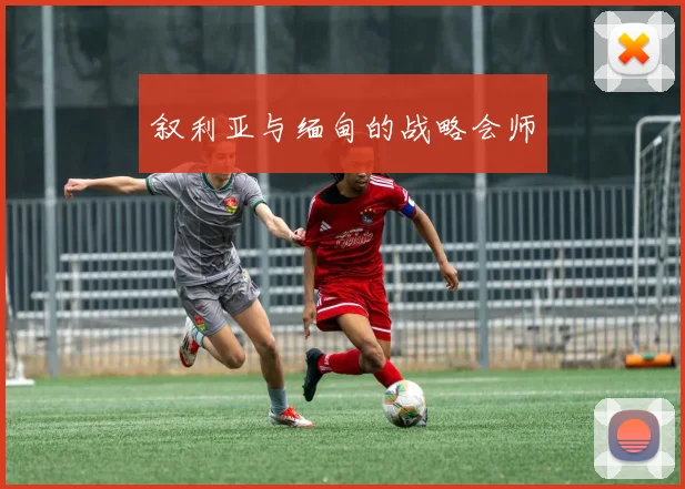 开云Kaiyun（中国）体育官方网站 - 叙利亚与缅甸的战略会师
