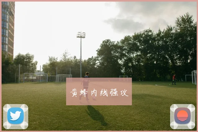 开云Kaiyun（中国）体育官方网站 - 黄蜂内线强攻