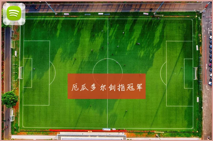 开云Kaiyun（中国）体育官方网站 - 厄瓜多尔剑指冠军
