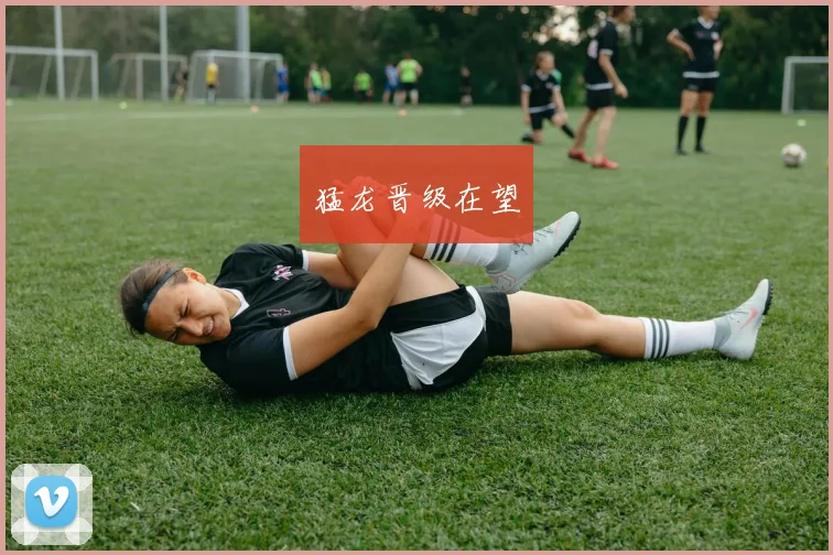 开云Kaiyun（中国）体育官方网站 - 猛龙晋级在望