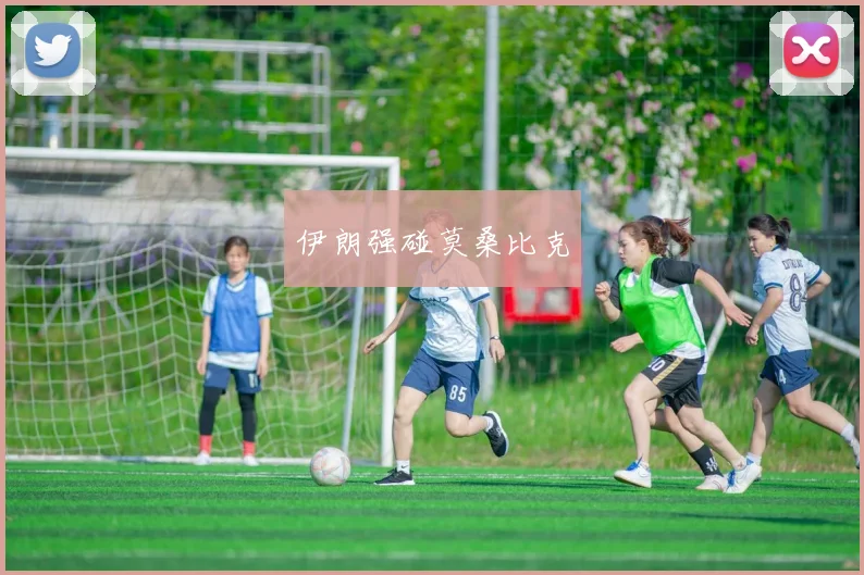开云Kaiyun（中国）体育官方网站 - 伊朗强碰莫桑比克