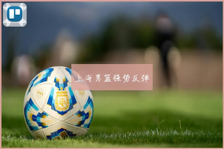 开云Kaiyun（中国）体育官方网站 - 上海男篮强势反弹