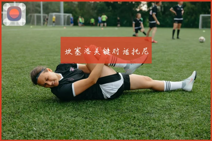 开云Kaiyun（中国）体育官方网站 - 坎塞洛关键对话托尼
