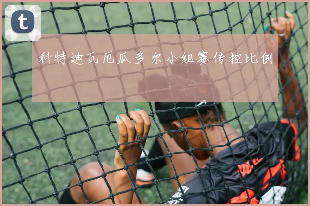 科特迪瓦厄瓜多尔小组赛传控比例