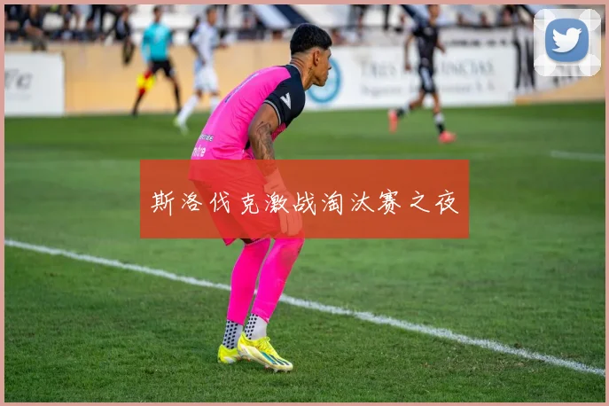 开云Kaiyun（中国）体育官方网站 - 斯洛伐克激战淘汰赛之夜