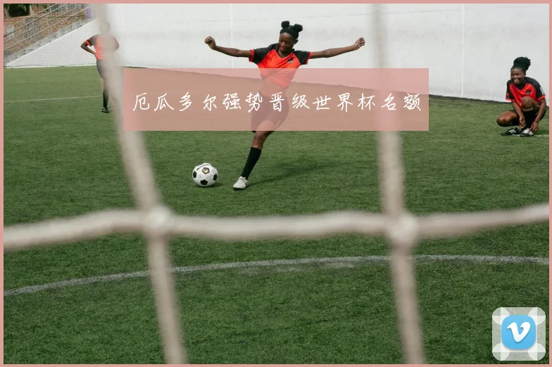 开云Kaiyun（中国）体育官方网站 - 厄瓜多尔强势晋级世界杯名额