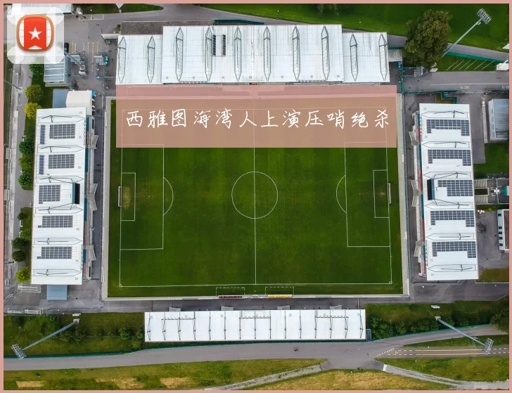 开云Kaiyun（中国）体育官方网站 - 西雅图海湾人上演压哨绝杀