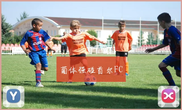 开云Kaiyun（中国）体育官方网站 - 葡体强碰首尔FC