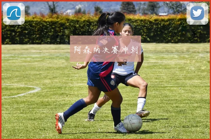 开云Kaiyun（中国）体育官方网站 - 阿森纳决赛冲刺