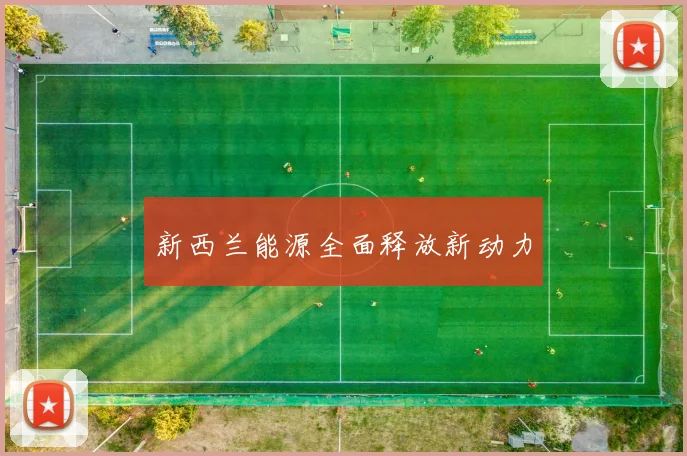 开云Kaiyun（中国）体育官方网站 - 新西兰能源全面释放新动力