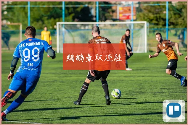 开云Kaiyun（中国）体育官方网站 - 鹈鹕豪取连胜
