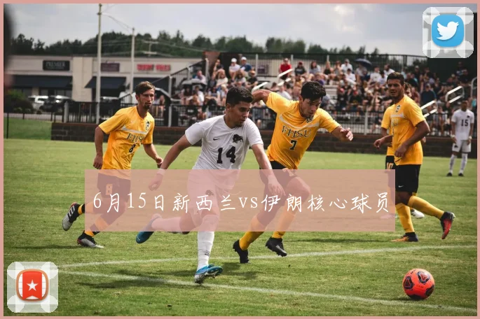 6月15日新西兰vs伊朗核心球员