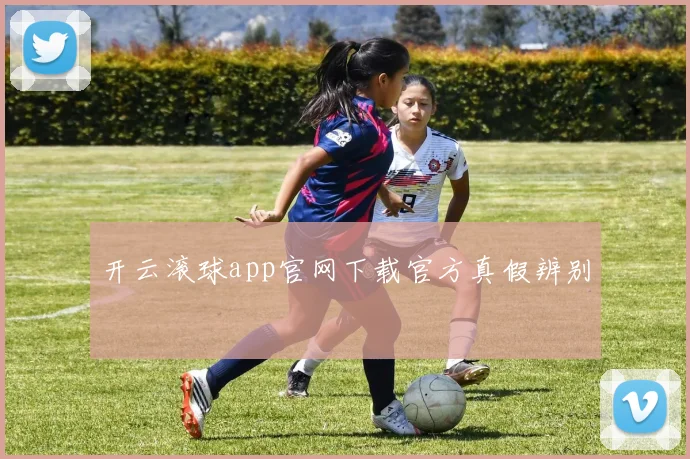 开云滚球app官网下载官方真假辨别