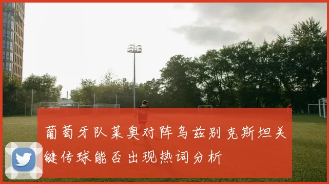 葡萄牙队莱奥对阵乌兹别克斯坦关键传球能否出现热词分析