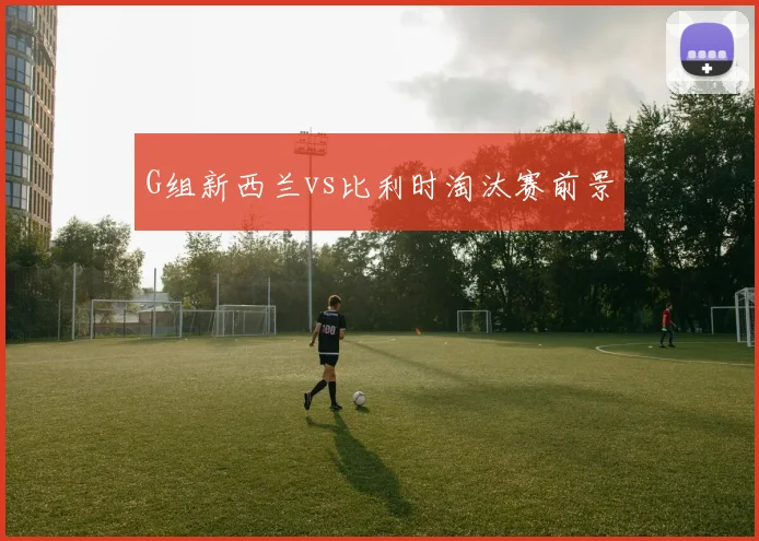 G组新西兰vs比利时淘汰赛前景